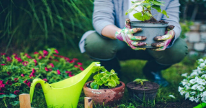 Start building your nest egg for just $50 a month