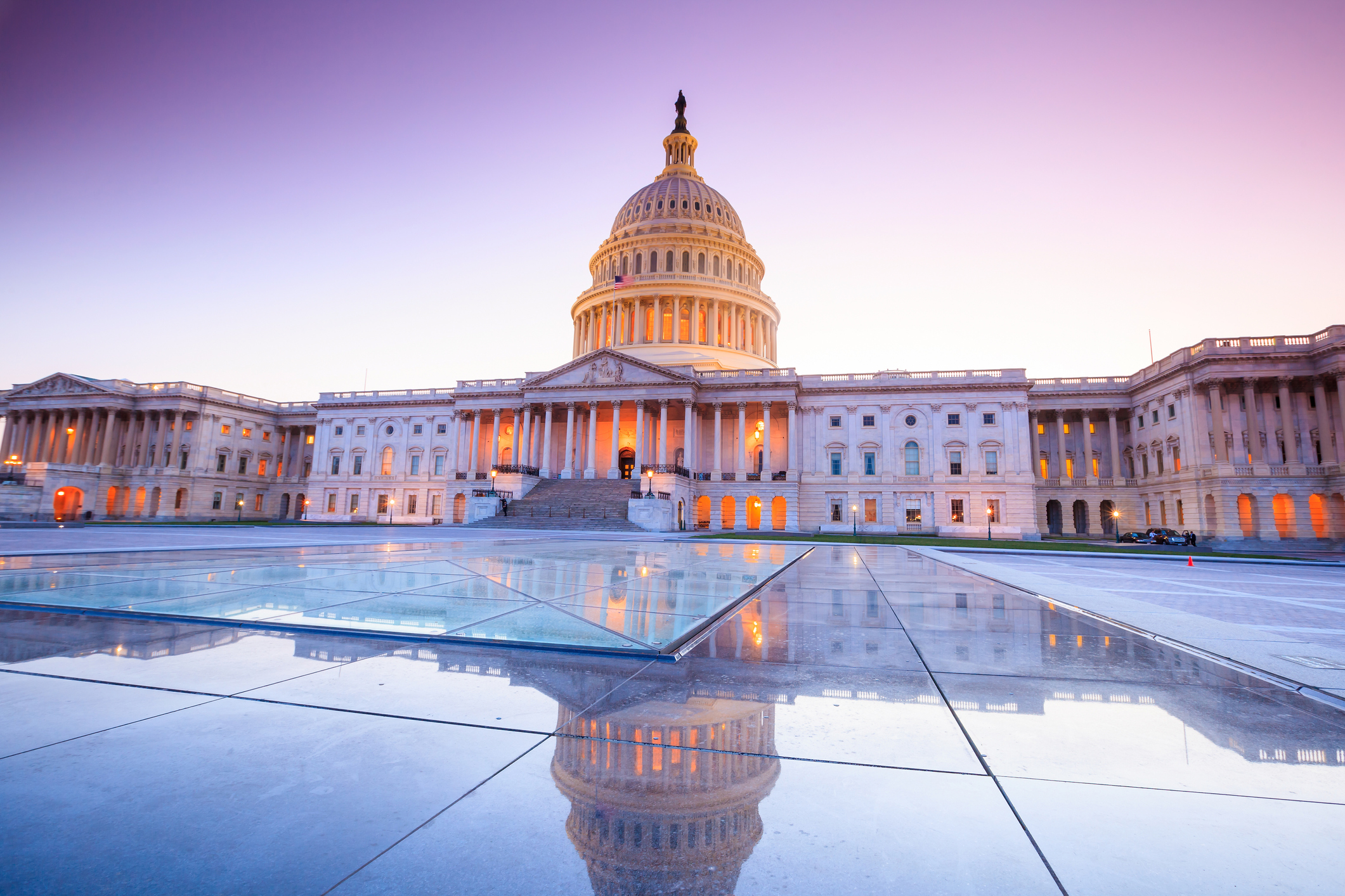 Election 2020: Politics, policy and the markets