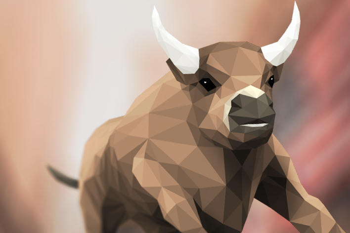 bull market