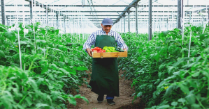 Where’s My Raise? As Employment Climbs Wage Growth Left Behind