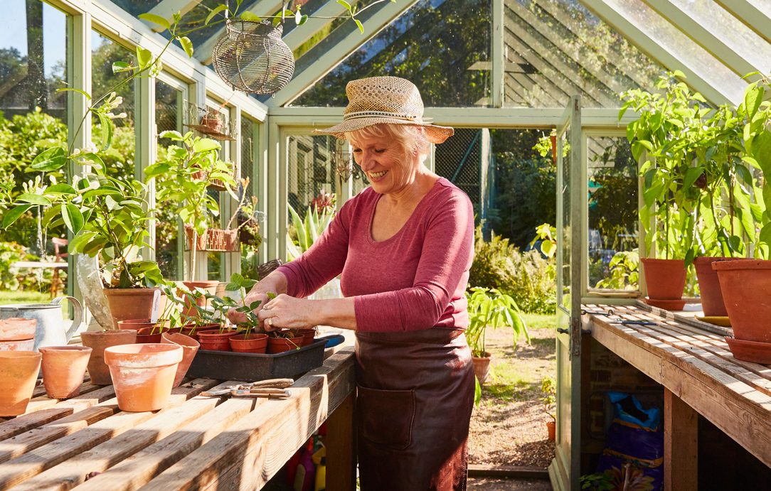 Mature woman wearing sunhat while tending to her plants in a greenhouse